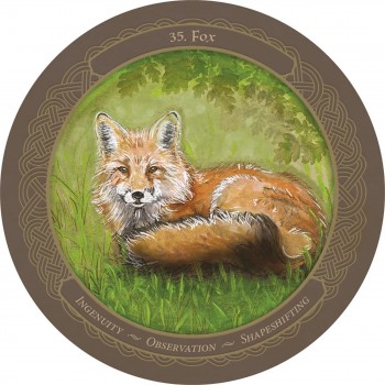 Enchanted Wheel Oracle kortos US Games Systems